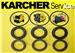 KARCHER HD HDS PUMP SEALS KIT 645, 745 750 755 895 850 1000 etc